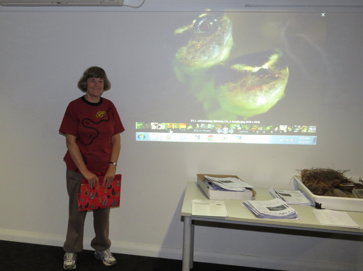 2012-12-07-Peoples-Choice