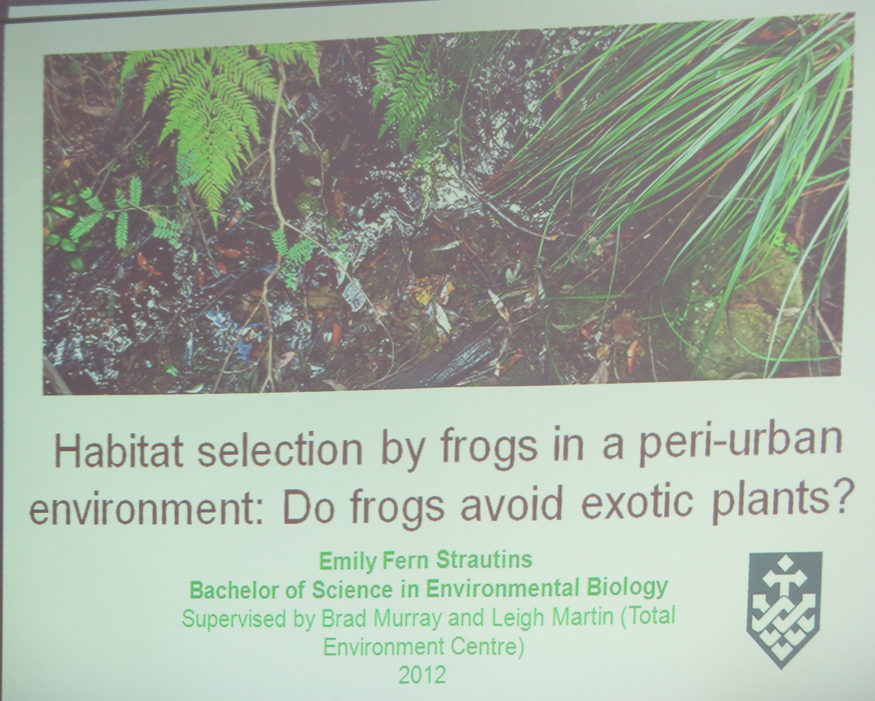 2013-02-01-Emily-Stratins-Talk