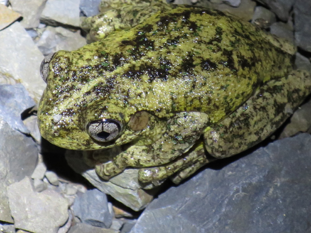 2014-11-07-SmithsLakeatSandbar